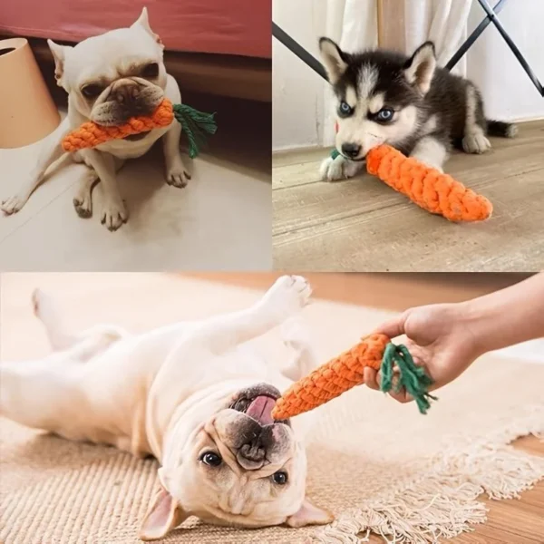 Carrot Rope Pet Toy - Image 2