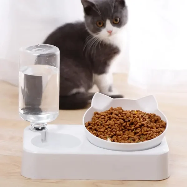 Tilted Pet Feeding Bowl - Image 3