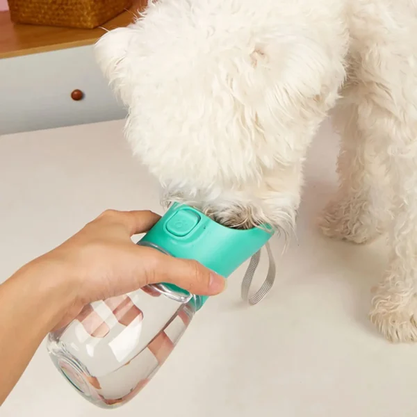 Adventure Dog Water Bottle - Image 5