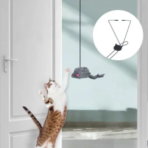 Door Hanging Cat Teaser