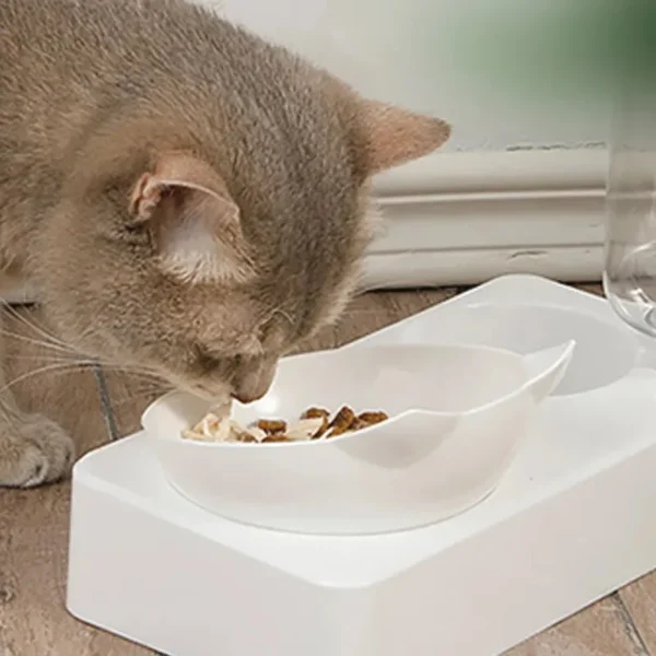 Tilted Pet Feeding Bowl - Image 4