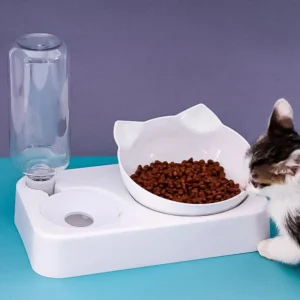 Tilted Pet Feeding Bowl
