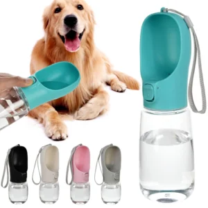 Adventure Dog Water Bottle