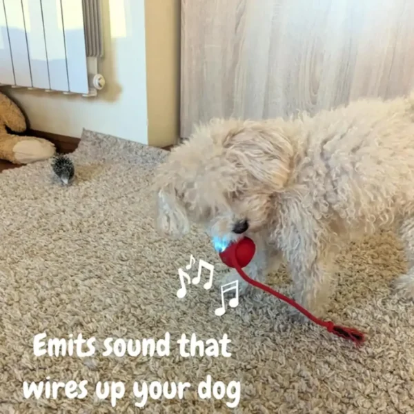 Automatic Rolling Pet Ball - Image 3