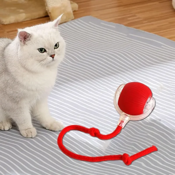 Automatic Rolling Pet Ball - Image 5