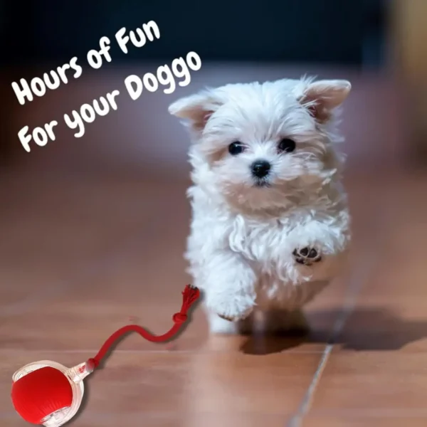 Automatic Rolling Pet Ball - Image 2