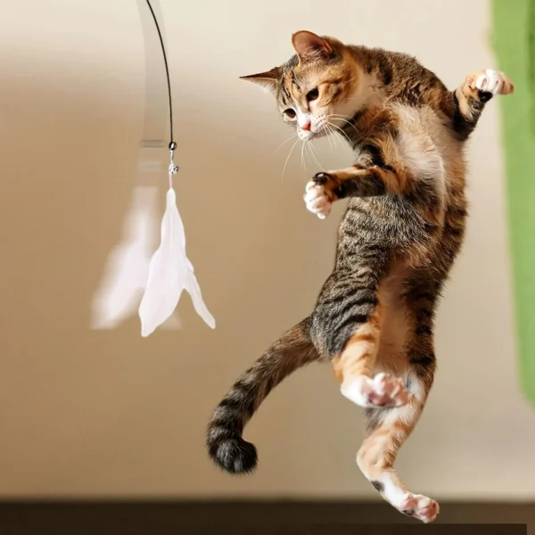 Feather Fun Cat Wand - Image 6