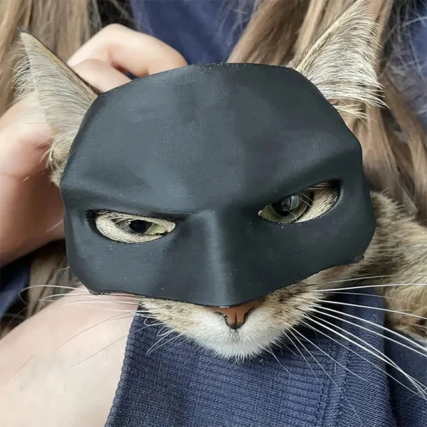 Bat Cat Hero Mask - Image 3