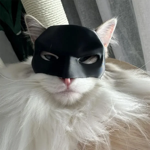 Bat Cat Hero Mask - Image 4