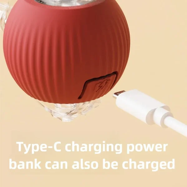 Automatic Rolling Pet Ball - Image 6