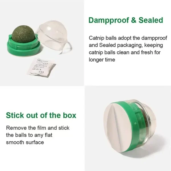 Catnip Wall Ball Toy - Image 5