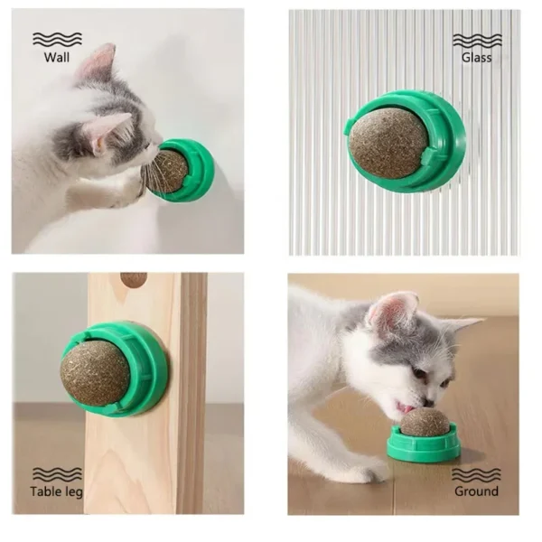 Catnip Wall Ball Toy - Image 2
