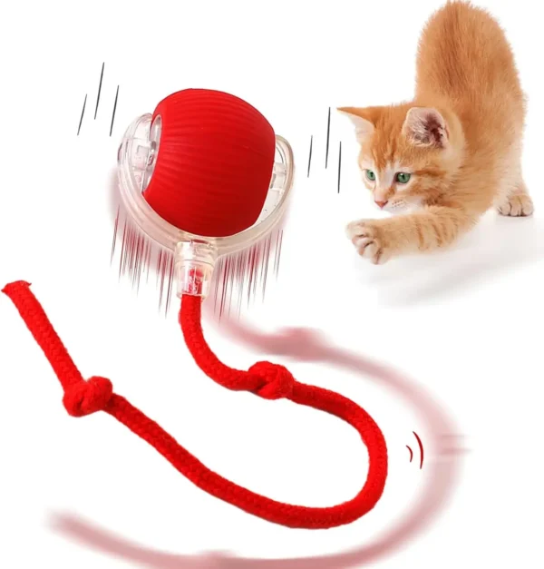 Automatic Rolling Pet Ball