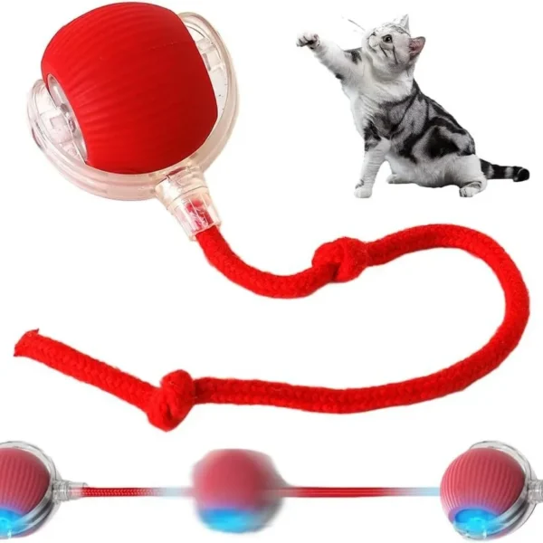 Automatic Rolling Pet Ball - Image 4