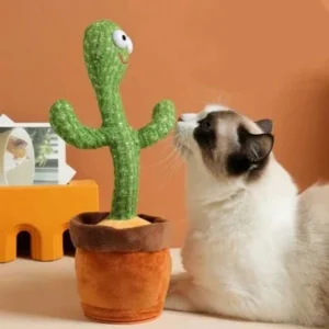 Dancing Talking Cactus Cat Toy